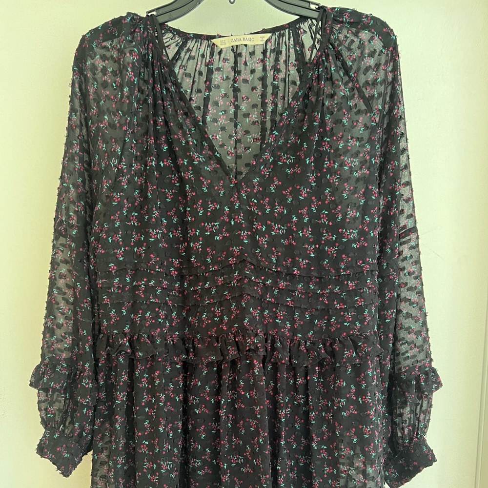 Zara Sheer Mini Dress
